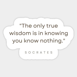 "The only true wisdom is in knowing you know nothing." - Socrates Inspirational Quote Sticker